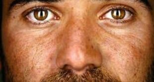 open La mia storia - Andre Agassi - La Recensione