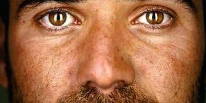 open La mia storia - Andre Agassi - La Recensione