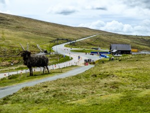 tourist_trophy_2015_33