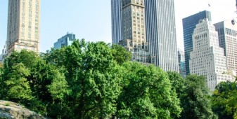 _small_01092015-_MAX3729