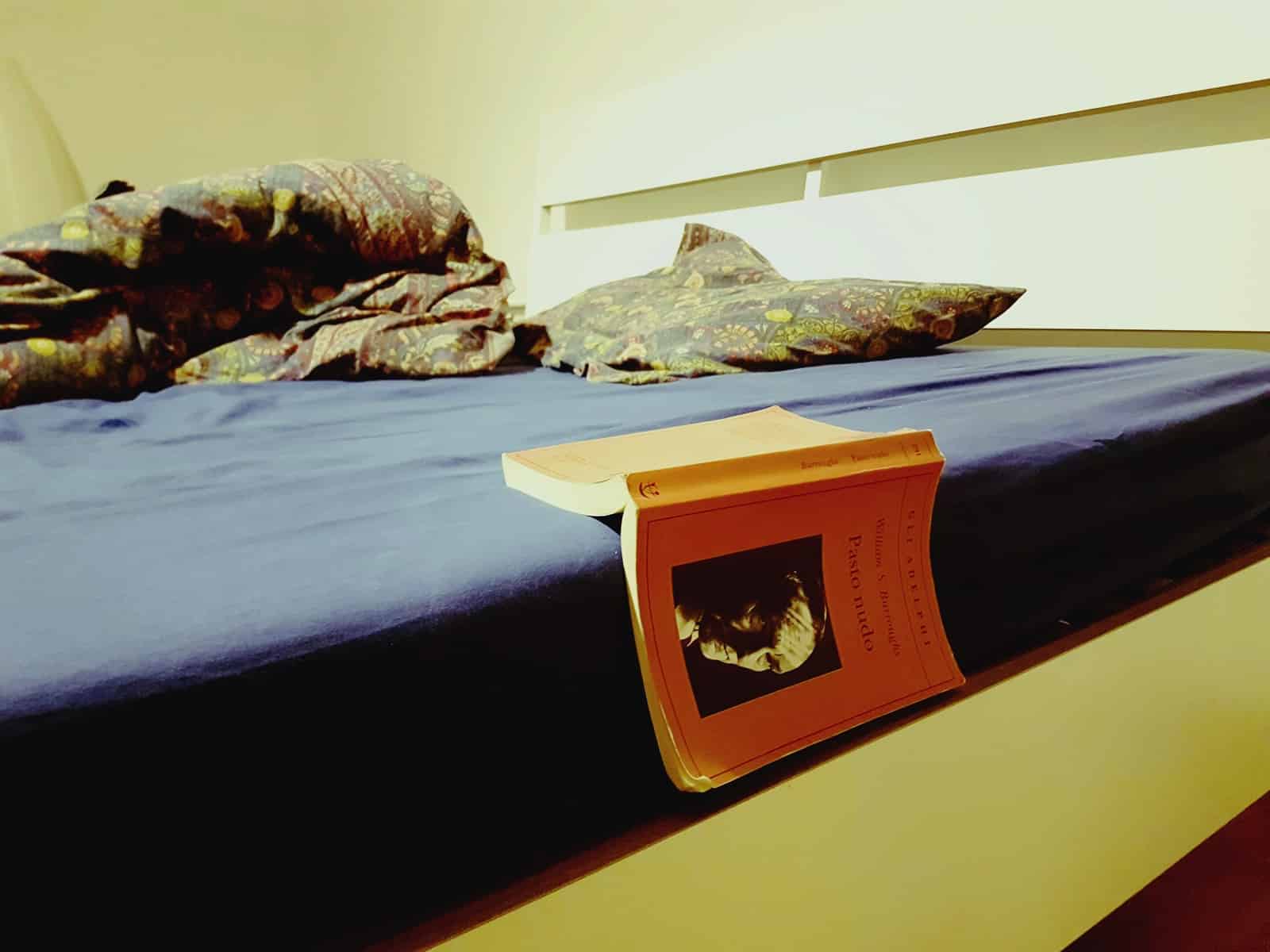 Pasto nudo di william Burroughs