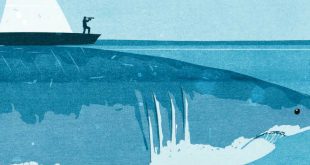 Morten Strøksnes - Il libro del mare