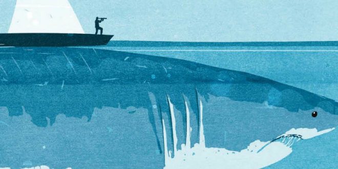 Morten Strøksnes - Il libro del mare