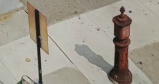 Paul Auster - Follie di Brooklyn