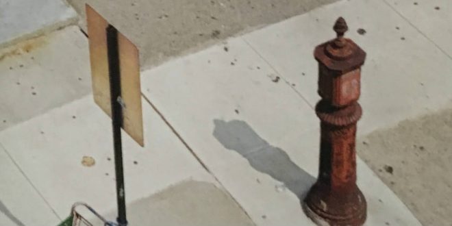 Paul Auster - Follie di Brooklyn