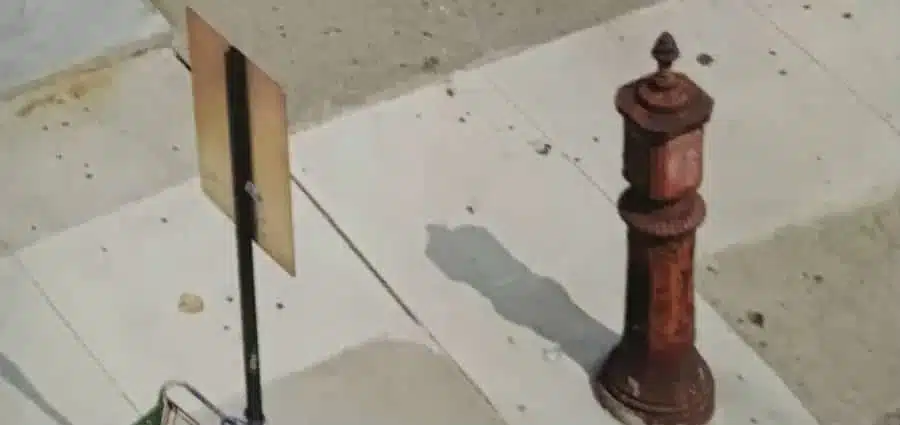 Paul Auster - Follie di Brooklyn