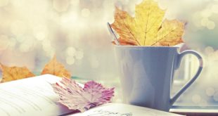 I libri per un fantastico settembre 2017