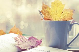 I libri per un fantastico settembre 2017