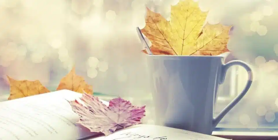 I libri per un fantastico settembre 2017