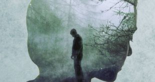 Donato Carrisi - La ragazza nella nebbia