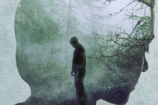 Donato Carrisi - La ragazza nella nebbia