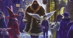 Regali di Natale 2017 - 5 cofanetti di libri