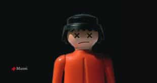 copertina maschio adulto solitario