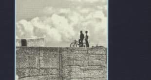 Appunti per un naufragio - Davide Enia - Libro del 2017