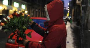 A San Valentino non irritatevi per una rosa