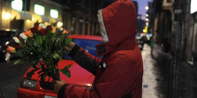 A San Valentino non irritatevi per una rosa