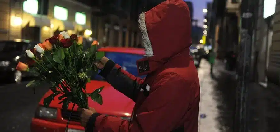 A San Valentino non irritatevi per una rosa