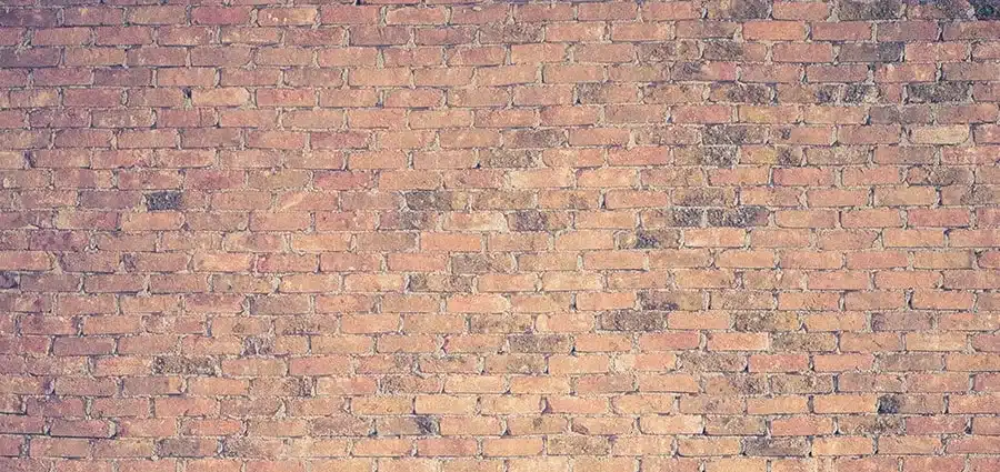 Blocco-del-lettore--10-trucchi-per-non-deprimersi