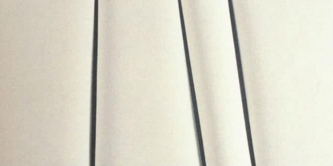 Rassegna stampa - Recensioni de La scomparsa di Josef Mengele di Olivier Guez