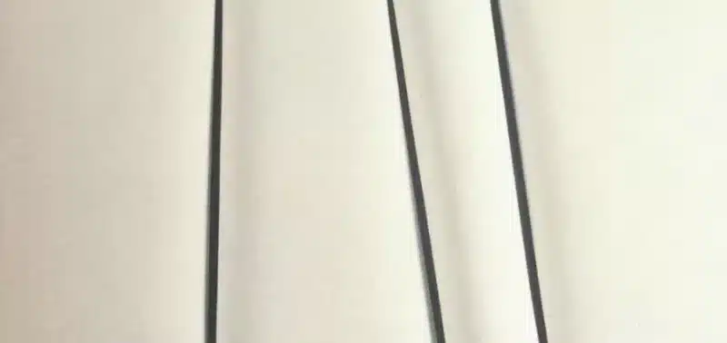 Rassegna stampa - Recensioni de La scomparsa di Josef Mengele di Olivier Guez