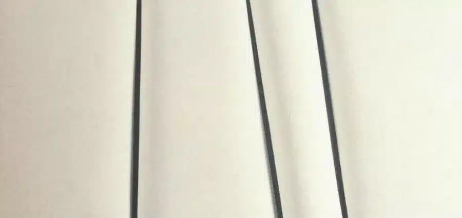 Rassegna stampa - Recensioni de La scomparsa di Josef Mengele di Olivier Guez