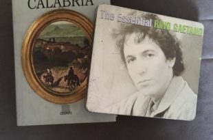 Salvini e meridionali, una lunga storia d'amore