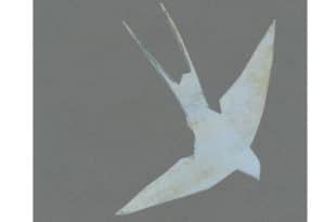 FABIO PUSTERLA - Cenere o terra