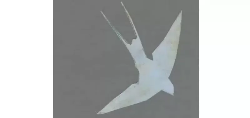 FABIO PUSTERLA - Cenere o terra