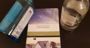 andre dubus - voli separati