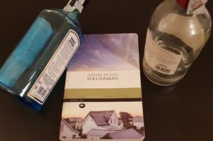 andre dubus - voli separati