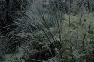 Davide Martirani - Come si sta al mondo - Quodlibet