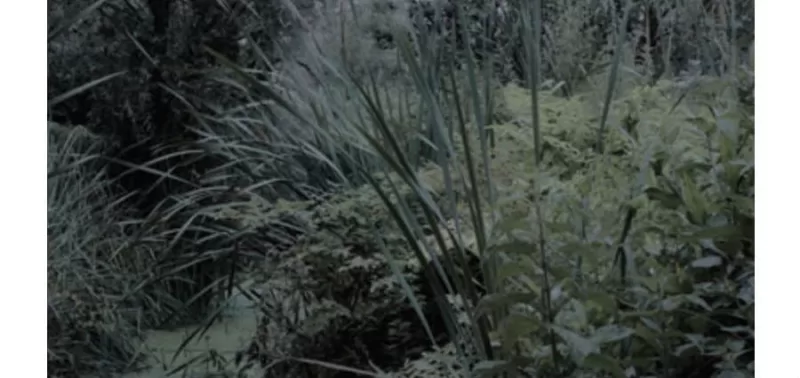 Davide Martirani - Come si sta al mondo - Quodlibet