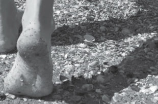 Milia Sarogni - Il lungo cammino della donna italiana - Edizioni Spartaco