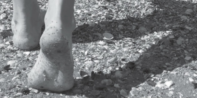 Milia Sarogni - Il lungo cammino della donna italiana - Edizioni Spartaco