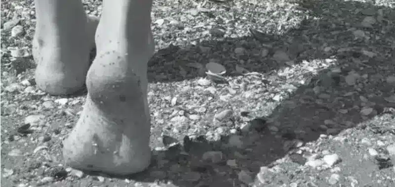 Milia Sarogni - Il lungo cammino della donna italiana - Edizioni Spartaco