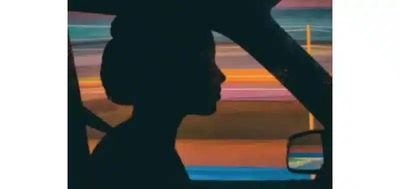 Sara Taylor - Il contrario della nostalgia - Minimum Fax