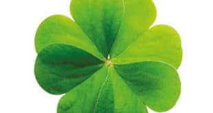 So che un giorno tornerai - Luca Bianchini