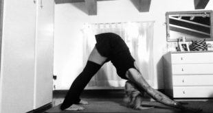 asana il cane a testa in giù