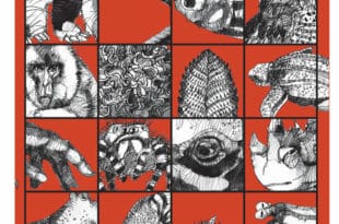 Caspar Henderson - Il libro degli esseri a malapena immaginabili - Adelphi