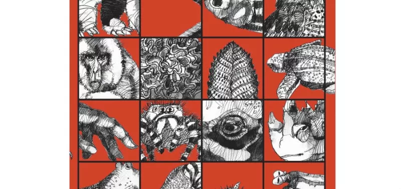 Caspar Henderson - Il libro degli esseri a malapena immaginabili - Adelphi