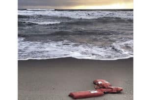 Cristina Cattaneo - Naufraghi senza volto. Dare un nome alle vittime del Mediterraneo - Raffaello Co