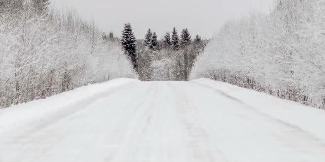 Davide Brullo - Un alfabeto nella neve - Castelvecchi