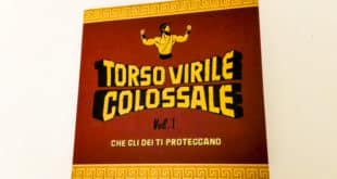 torso virile colossale