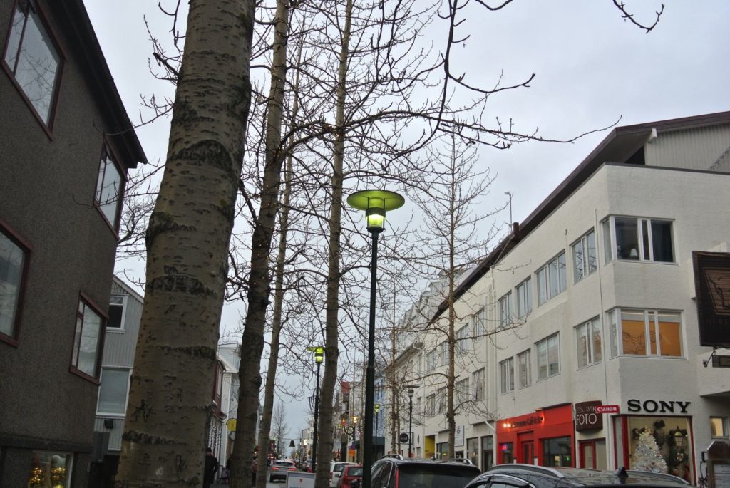 Islanda, un paese tutto da scoprire_47