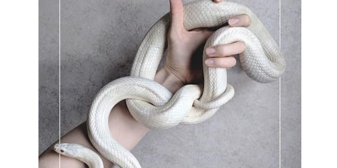 Vera Giaconi - Persone care - SUR