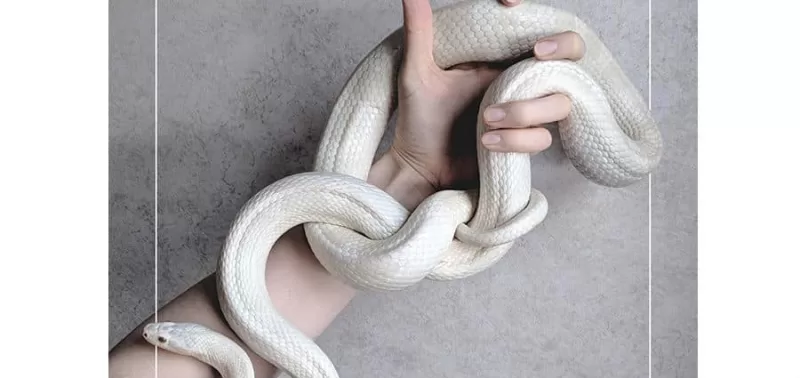 Vera Giaconi - Persone care - SUR