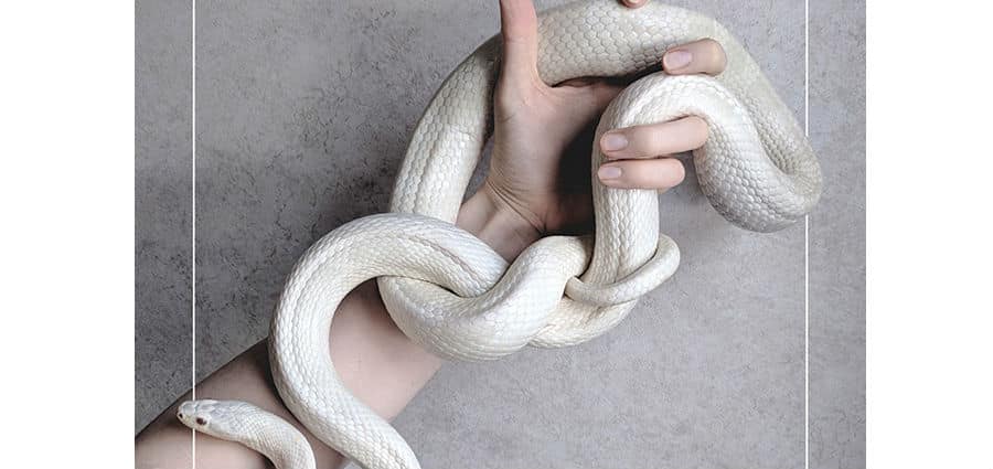 Vera Giaconi - Persone care - SUR