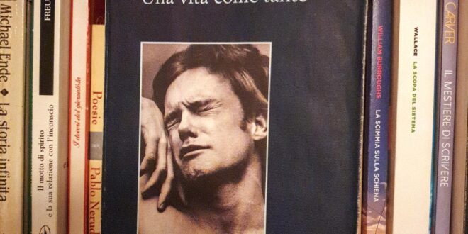 una vita come tante, cover