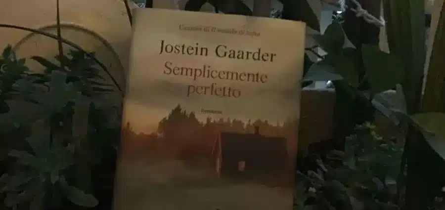 Semplicemente perfetto - Jostein Gaarder