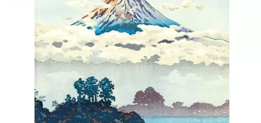 Franco Faggiani - Il guardiano della collina dei ciliegi - Fazi Editore